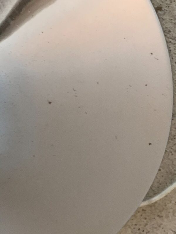 Big bud stehlampe von harvey guzzini studio 6g for guzzini (9)