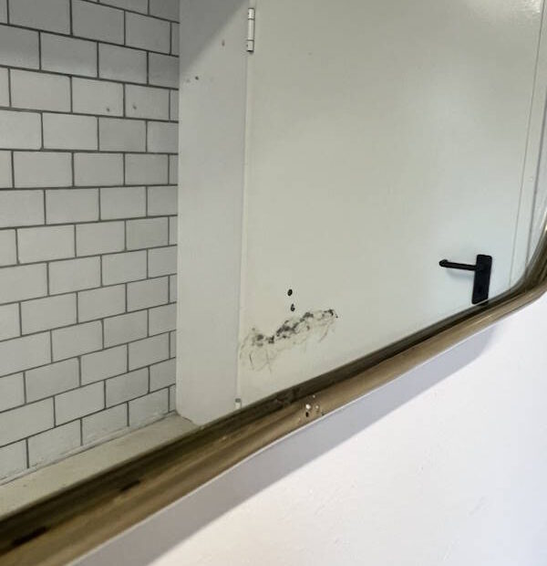 mid-century-mirror-4.jpg